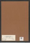 Actinoptychus janischii Grun. (de-Toni-Nr.: Genus 227, Species 5580) Zeichnungen Sammlung Grunow Mappe 05332 (Herbarium_W_Grunow_drawings_Folder_05332)